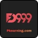 FD999 Game