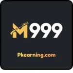 M999
