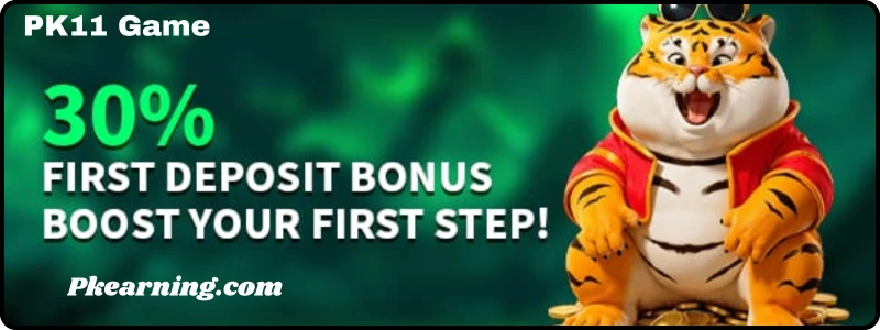 Pk11 APK