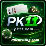Pk11 Game