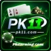 Pk11 Game